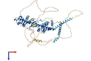 AlphaFold protein structure predicition of Human Recombinant GGNBP2 Protein, UniprotID Q9H3C7