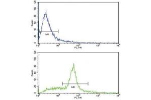 Flow cytometric analysis of WiDr cells using SCF antibody (green) compared to a negative control (blue).