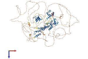 AlphaFold protein structure predicition of Mouse Recombinant Sash1 Protein, UniprotID P59808
