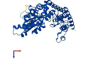 AlphaFold protein structure predicition of Human Recombinant DDC Protein, UniprotID P20711