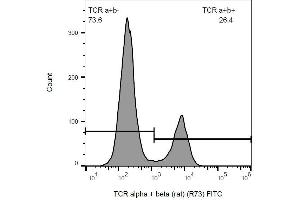 Surface staining of rat splenocytes with anti-rat TCR alpha/beta (R73) FITC.