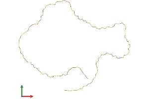 AlphaFold protein structure predicition of Mouse Recombinant Krtap14 Protein, UniprotID O08640