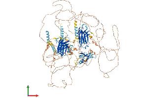 AlphaFold protein structure predicition of Human Recombinant RIMS2 Protein, UniprotID Q9UQ26
