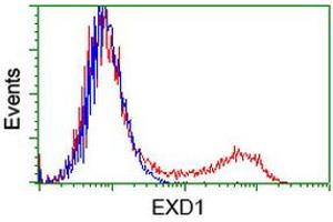 HEK293T cells transfected with either RC206223 overexpress plasmid (Red) or empty vector control plasmid (Blue) were immunostained by anti-EXD1 antibody (ABIN2453979), and then analyzed by flow cytometry. (EXD1 anticorps)