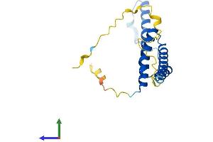 AlphaFold protein structure predicition of Human Recombinant RD3 Protein, UniprotID Q7Z3Z2