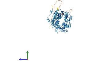 AlphaFold protein structure predicition of Human Recombinant ZNF791 Protein, UniprotID Q3KP31