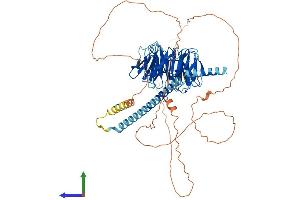 AlphaFold protein structure predicition of Mouse Recombinant Nedd1 Protein, UniprotID P33215