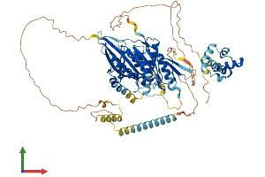 AlphaFold protein structure predicition of Mouse Recombinant Kif22 Protein, UniprotID Q3V300