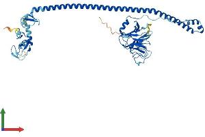 AlphaFold protein structure predicition of Human Recombinant TRIM11 Protein, UniprotID Q96F44