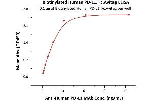 Immobilized Biotinylated Human PD-L1, Fc,Avitag (ABIN5674607,ABIN6253677) at 1 μg/mL (100 μL/well) on Streptavidin  precoated (0.