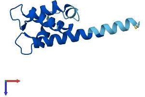 AlphaFold protein structure predicition of Mouse Recombinant S100a15a Protein, UniprotID Q6S5I3