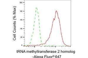 Flow cytometric analysis of tRNA methyltransferase 2 homolog expression in HepG2 cells using tRNA methyltransferase 2 homolog A antibody (ABIN7800983), 1:2,000). (Recombinant TRNA Methyltransferase 2 Homolog anticorps)