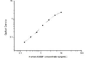 Typical standard curve (BANP Kit ELISA)