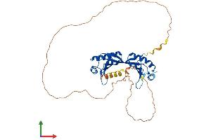 AlphaFold protein structure predicition of Mouse Recombinant Tbpl2 Protein, UniprotID Q6SJ95