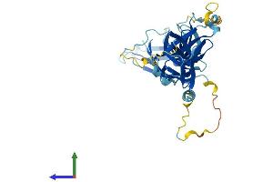 AlphaFold protein structure predicition of Human Recombinant RGP1 Protein, UniprotID Q92546
