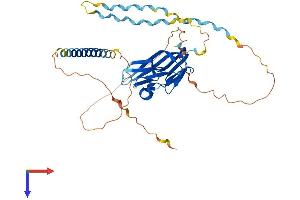 AlphaFold protein structure predicition of Human Recombinant EDA Protein, UniprotID Q92838