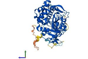 AlphaFold protein structure predicition of Human Recombinant NT5DC1 Protein, UniprotID Q5TFE4