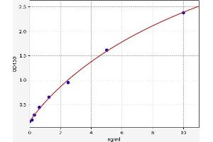 Cathepsin K (CTSK) ELISA Kit