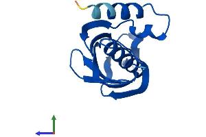 AlphaFold protein structure predicition of Human Recombinant ACOT13 Protein, UniprotID Q9NPJ3