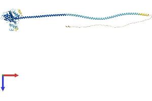 AlphaFold protein structure predicition of Mouse Recombinant Def6 Protein, UniprotID Q8C2K1