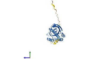AlphaFold protein structure predicition of Mouse Recombinant Rit1 Protein, UniprotID P70426