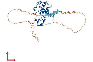 AlphaFold protein structure predicition of Mouse Recombinant Birc7 Protein, UniprotID A2AWP0