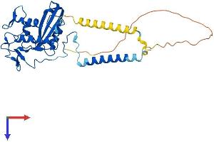 AlphaFold protein structure predicition of Mouse Recombinant Glipr1l2 Protein, UniprotID Q9CQ35