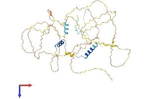 AlphaFold protein structure predicition of Human Recombinant GPBP1L1 Protein, UniprotID Q9HC44