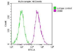 Overlay histogram showing Hela cells stained with ABIN7147160 (red line) at 1:200. (CD44 anticorps  (AA 21-220))