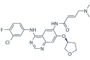 Chemical structure of BIBW 2992 , a EGFR and HER2 kinase inhibitor.