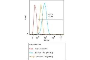 This image has been kindly submitted by TÜbingen Ageing and Tumour Immunology Group (TATI), Centre for Medical Research (ZMF), University of Tübingen Medical School www.