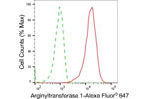 Flow cytometric analysis of Arginyltransferase 1 expression in HepG2 cells using Arginyltransferase 1 antibody (ABIN7797649), 1:2,000).