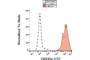 Flow cytometry analysis (surface staining) of human peripheral blood with anti-CD235ab (HIR2) FITC. (CD235ab anticorps  (N-Term) (FITC))