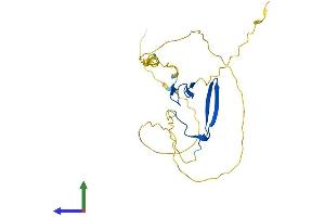 AlphaFold protein structure predicition of Mouse Recombinant Rybp Protein, UniprotID Q8CCI5