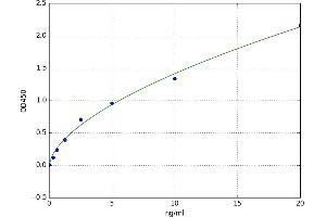 Iron-Responsive Element Binding Protein 2 (IREB2) ELISA Kit