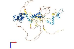 AlphaFold protein structure predicition of Human Recombinant BRD7 Protein, UniprotID Q9NPI1