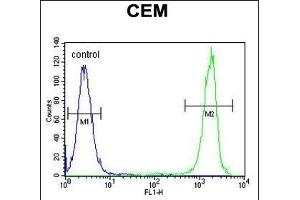 NUDT22 Antibody (C-term) (ABIN655227 and ABIN2844833) flow cytometric analysis of CEM cells (right histogram) compared to a negative control cell (left histogram). (NUDT22 anticorps  (C-Term))