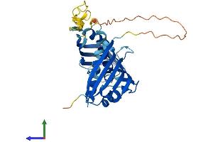 AlphaFold protein structure predicition of Human Recombinant AHSA1 Protein, UniprotID O95433