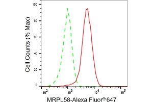 Flow cytometric analysis of MRPL58 expression in HepG2 cells using MRPL58 antibody (ABIN7799758), 1:2,000). (Peptidyl-tRNA Hydrolase ICT1, Mitochondrial anticorps)