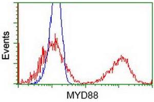 Image no. 2 for anti-Myeloid Differentiation Primary Response Gene (88) (MYD88) antibody (ABIN1499610) (MYD88 anticorps)