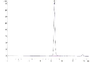 The purity of Mouse Serum Albumin is greater than 95 % as determined by SEC-HPLC.
