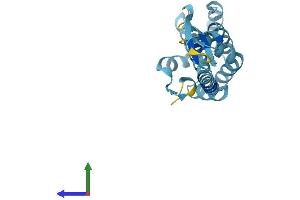 AlphaFold protein structure predicition of Mouse Recombinant Commd4 Protein, UniprotID Q9CQ02