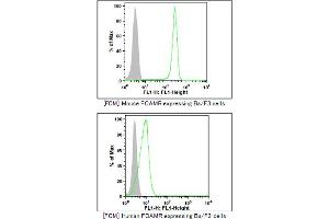 Flow cytometry from mouse Fcamr expressing Ba/F3 cells. (FCAMR anticorps)