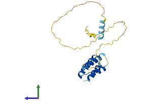 AlphaFold protein structure predicition of Human Recombinant CT45A10 Protein, UniprotID P0DMU9 (CT45A10 (AA 1-189) protein (His tag))