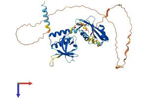 AlphaFold protein structure predicition of Mouse Recombinant Stap2 Protein, UniprotID Q8R0L1