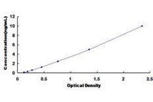 ELISA image for Enhancer of Zeste Homolog 1 (EZH1) ELISA Kit (ABIN1118175)