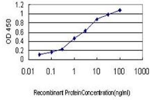 Detection limit for recombinant GST tagged ACE is approximately 0. (Angiotensin I Converting Enzyme 1 anticorps  (AA 592-701))