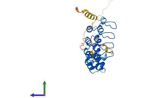 AlphaFold protein structure predicition of Mouse Recombinant Ankrd49 Protein, UniprotID Q8VE42