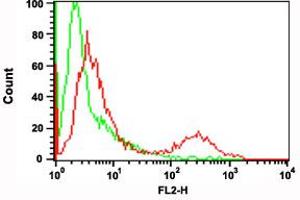 Flow cytometric analysis of A-20 cells with CD274 polyclonal antibody . (PD-L1 anticorps  (Internal Region))