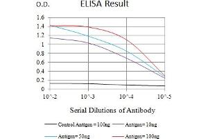 Black line: Control Antigen (100 ng),Purple line: Antigen (10 ng), Blue line: Antigen (50 ng), Red line:Antigen (100 ng) (EHMT2 anticorps  (AA 317-471))
